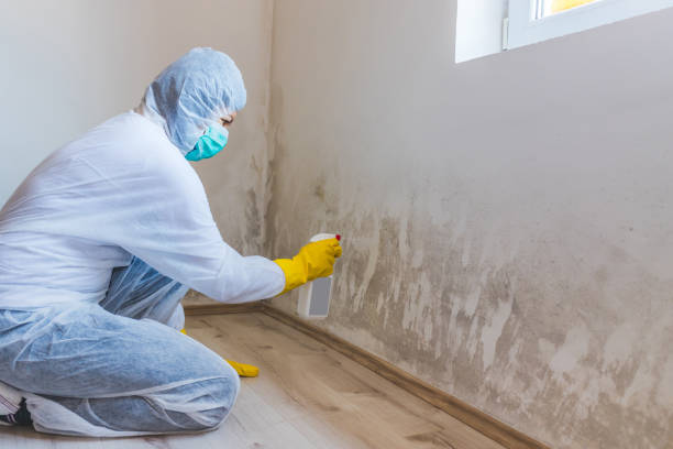 Licensed Crawl Space Mold Removal service in Marion, NC - WQB Mold Removal