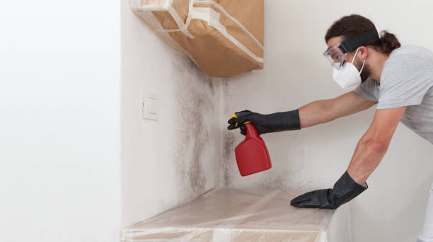 Professional Crawl Space Mold Removal technician working in Marion, NC