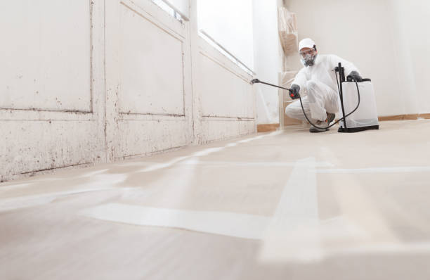 24/7 Emergency Crawl Space Mold Removal experts in Marion, NC
