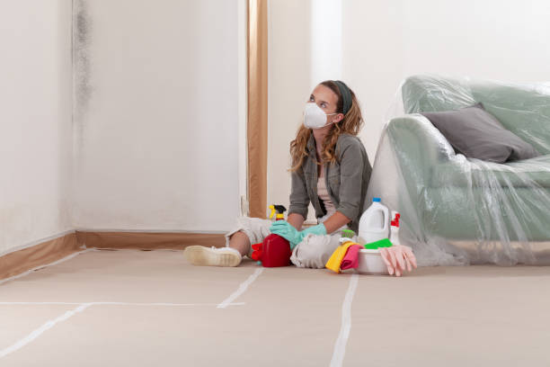 Reliable Crawl Space Mold Removal contractor in Marion, NC by WQB Mold Removal
