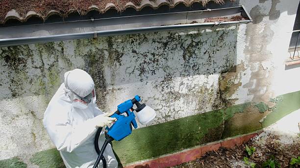 Top rated local Crawl Space Mold Removal specialists in Marion, NC